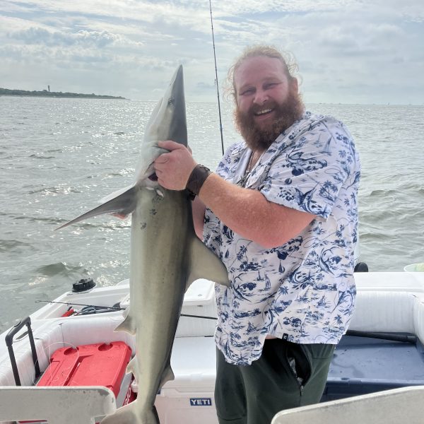 shark caught near shore with Short Skirts Sportfishing in Charleston, SC