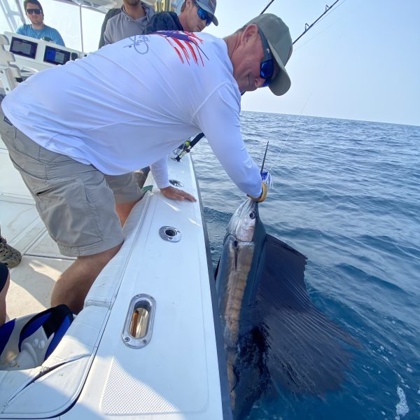 Marlin caught deep sea fishing with Charleston's best fishing charter, Short Skirts Sportfishing