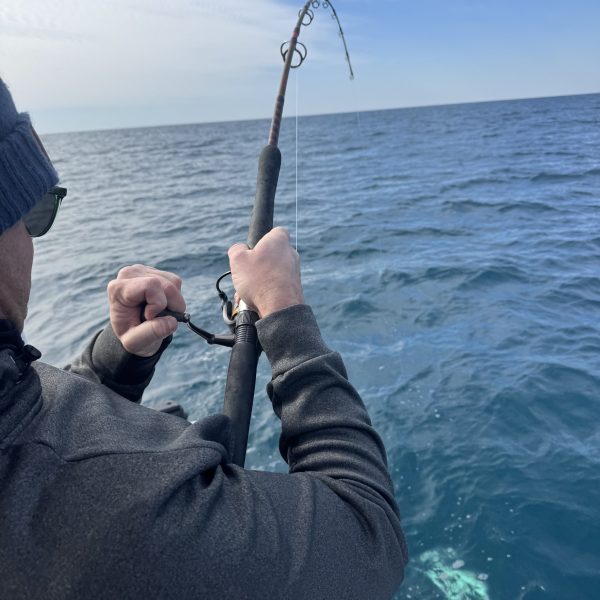 reeling in a monster catch with Short Skirts Sportfishing in Charleston, SC area